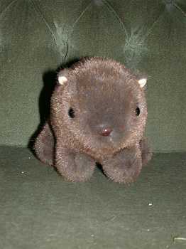 Willy Wombat