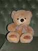 Present from the �gyptologisches Institut, Heidelberg 1997